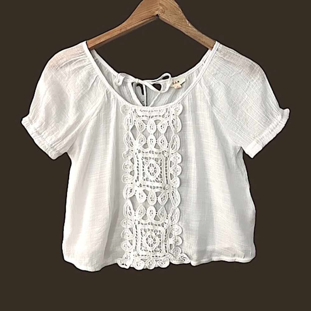 S Mini White Gauze Blouse Puff Sleeve Cropped Embroidered Lace Top